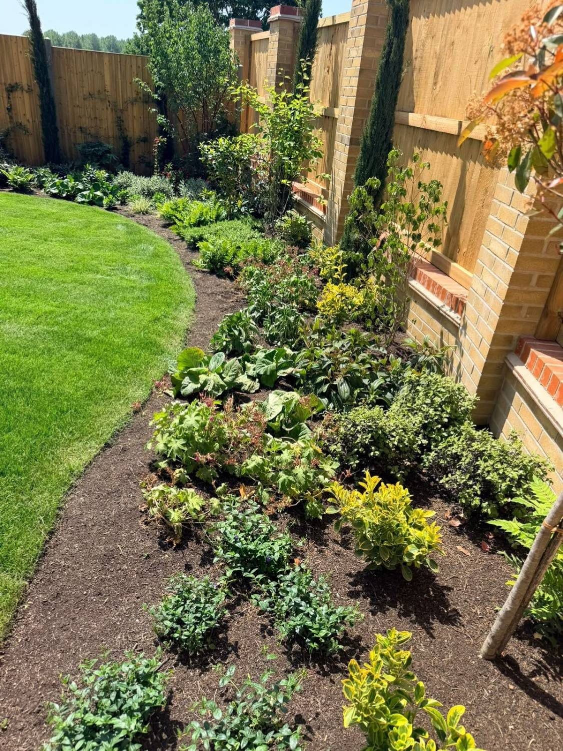 Established border planting along a curved lawn and brick piers