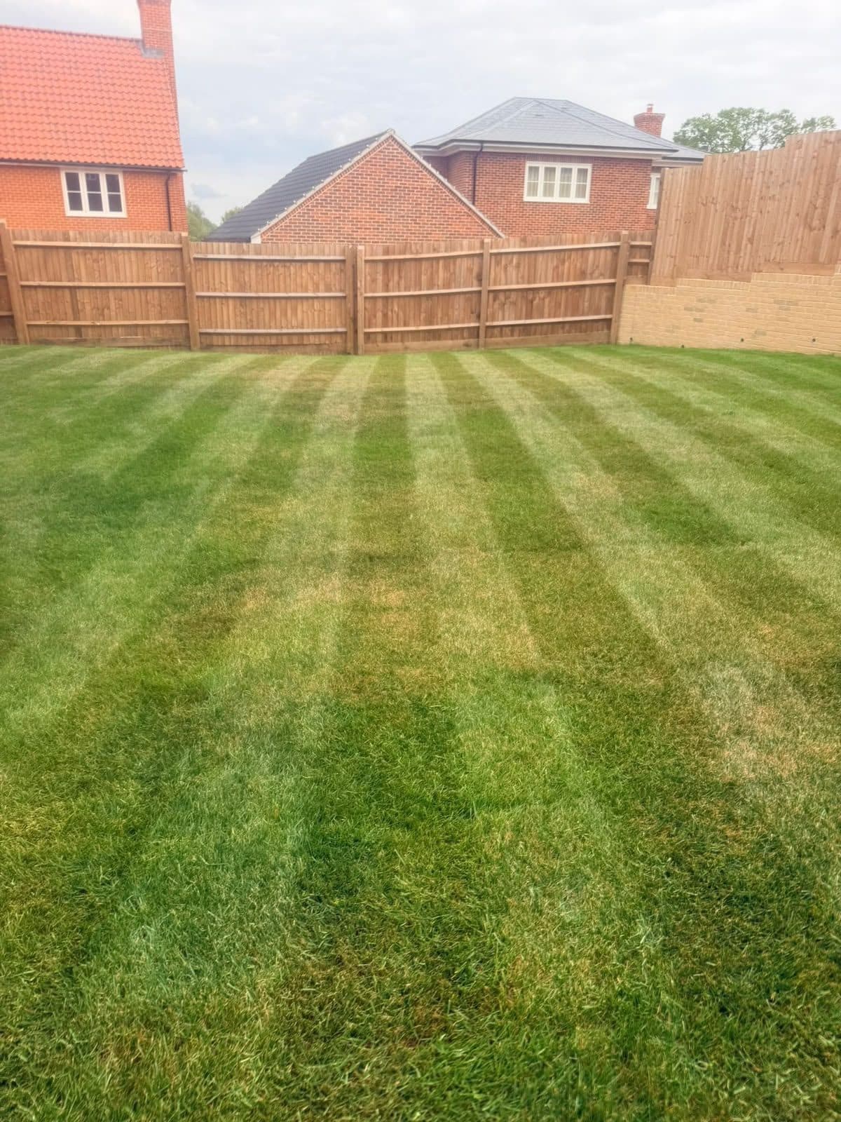 Striped back garden lawn