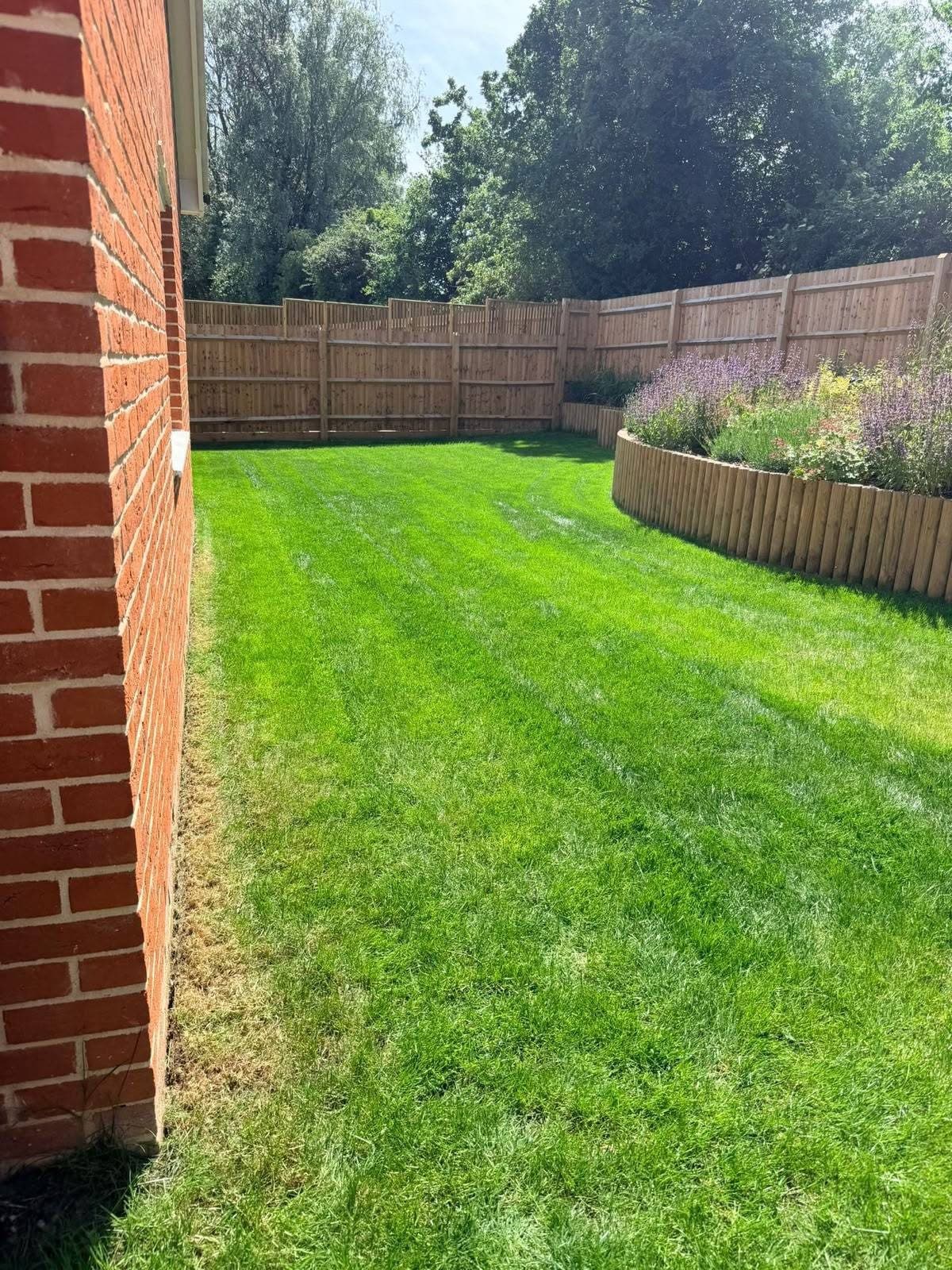 Striped lawn alongside a house and timber border