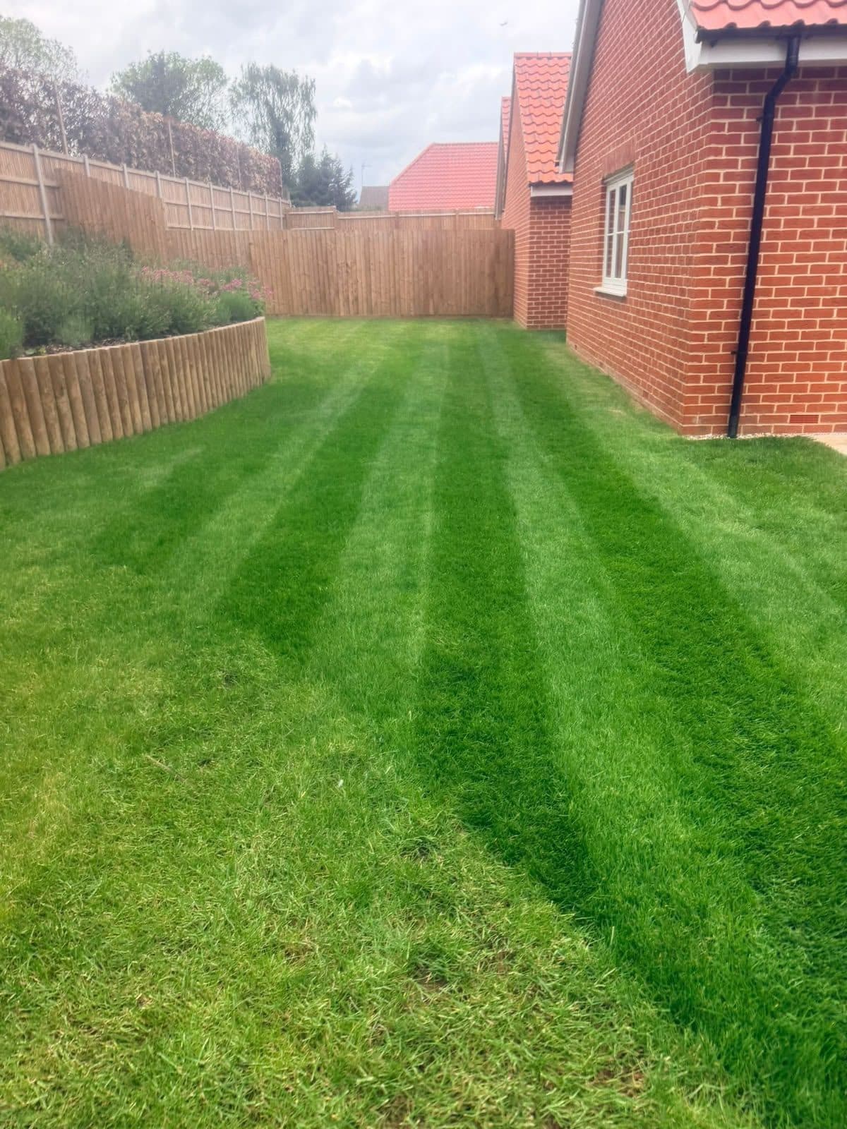Striped lawn alongside a raised timber border