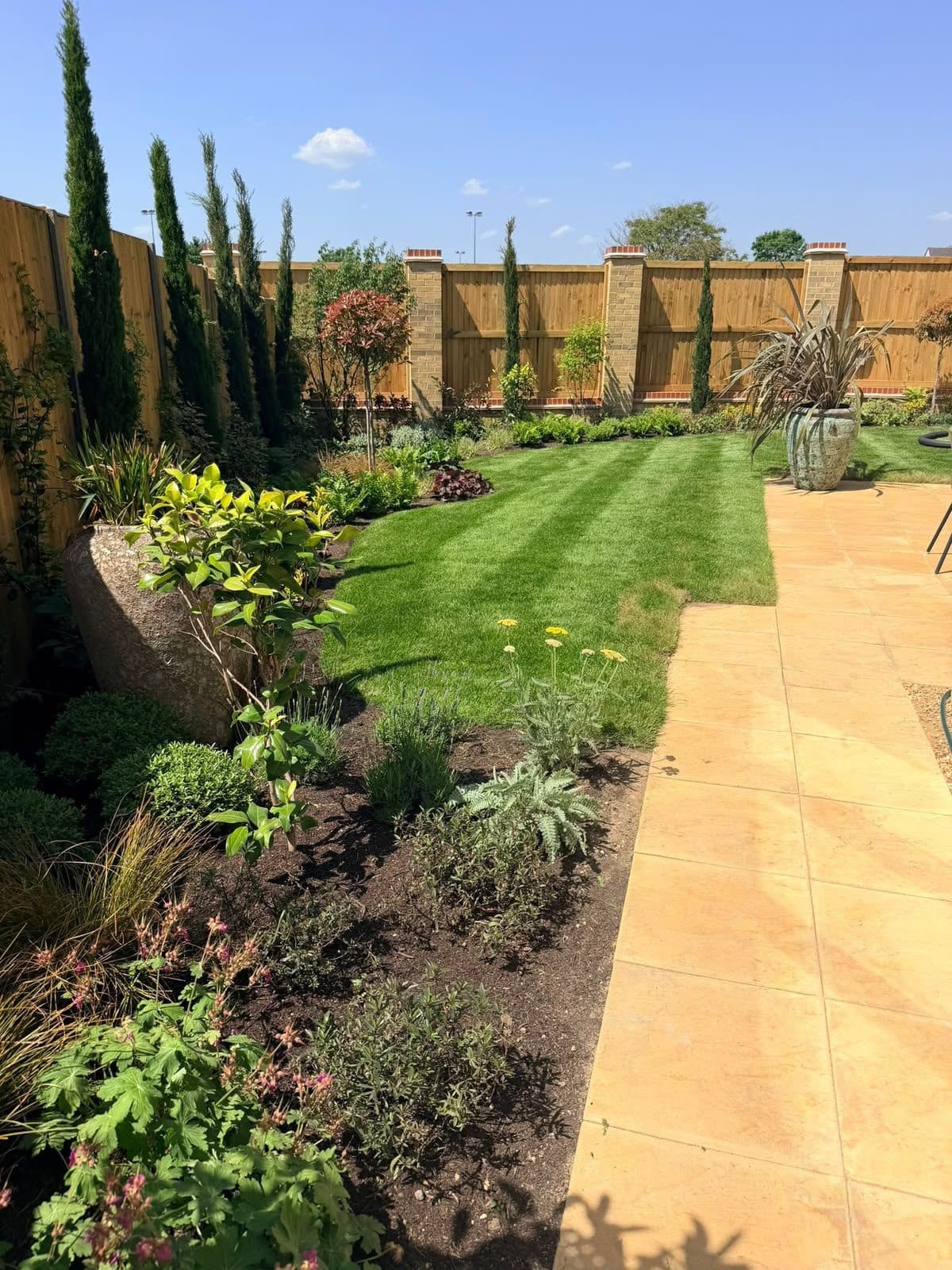 Planted border with cypress trees beside a striped lawn and patio